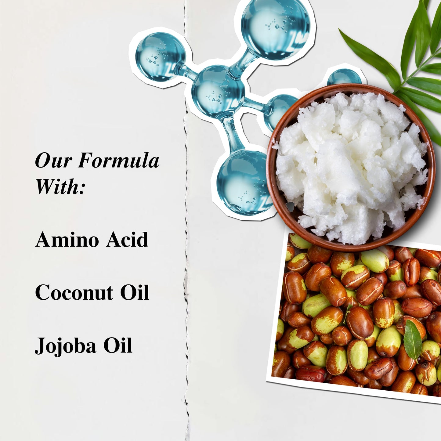 Kiehl's Amino Acid Conditioner, Strengthening and Moisturizing Hair Treatment, with Amino Acids, Jojoba and Coconut Oil to Improve Manageability and Added Shine - 16.9 fl oz
